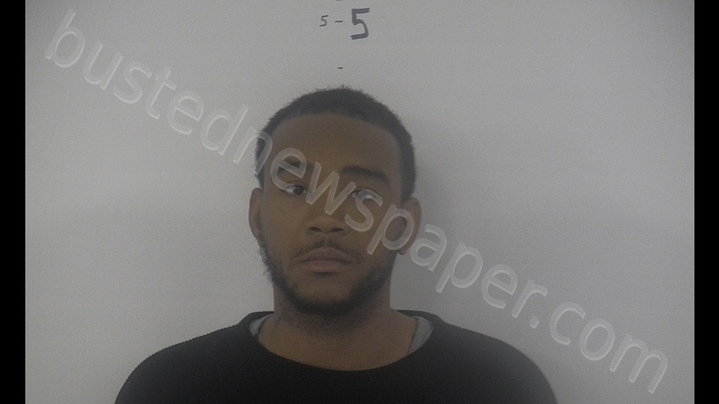 ERNEST LEDESMOND PIERCE #, Western Tidewater, Virginia - 2019-02-25 16:40:00