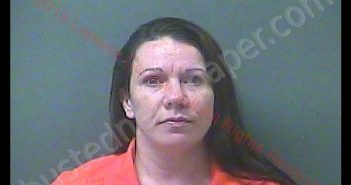 AMY L STEPANOVICH- SKWIAT | 2019-02-25 20:06:00 Laporte County, Indiana, La Porte County, Indiana Booking