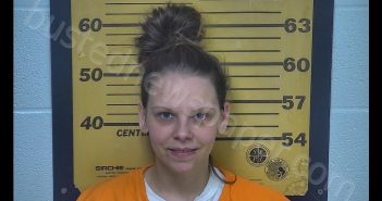 LEIGHIA NICHOLE HAVENS | 2019-02-25 18:22:40 Ottawa County, Ohio Booking