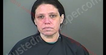 LENA JANE COLEMAN | 2019-02-26 14:07:00 Anderson County, South Carolina Booking