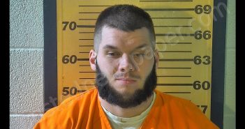 CODY S BRENGARTNER | 2019-02-26 13:07:00 Ottawa County, Ohio Booking