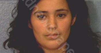 HERNANDEZ, JODIE BURNEECE | 2019-02-26 Williamson County, Texas Booking