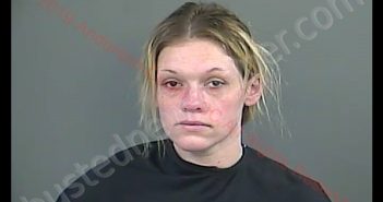 JESSICA MARIE COLEMAN | 2019-02-26 14:13:00 Anderson County, South Carolina Booking