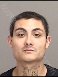 POINTER, ERIC JAMES MICHAEL | 2019-02-27 Brazos County, Texas Booking