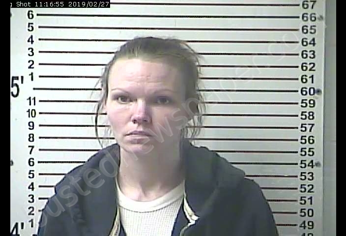 JONI LYNN SPECKINE #, Hardin County, Kentucky - 2019-02-27 11:04:00