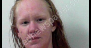 DUELLEY, ANGELA DAWN | 2019-02-28 04:35:00 Wood County, West Virginia Booking