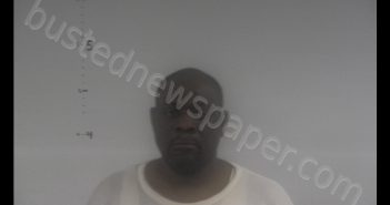 DARYLE DARNELL WHITE | 2019-02-28 08:04:05 Western Tidewater, Virginia Booking