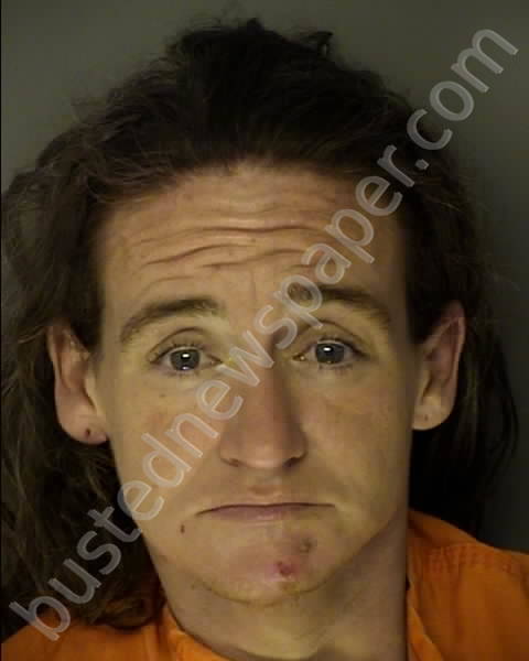 GURGANIOUS, DOROTHY AMANDA #, Horry County, South Carolina - 2019-03-01 13:51:00