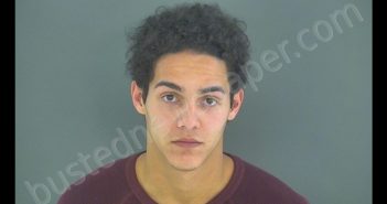 CHRISTOPHER LANDON SWEET | 2019-03-02 04:25:00 Shelby County, Indiana Booking