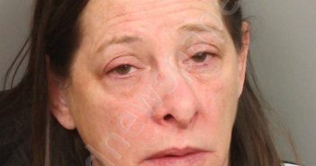 PATTERSON, NINA DENISE | 2019-03-02 01:27:00 Jefferson County, Alabama Booking