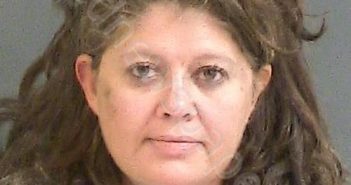 GIBSON, ROBIN LEIGH | 2019-03-02 00:02:00 Charleston County, South Carolina Booking