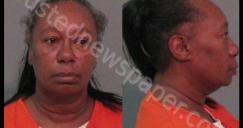 DYE, BRENDA ELAINE | 2019-03-03 11:16:23 York County, South Carolina Booking