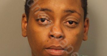 BROWN, DANIELLE ELIZABETH | 2019-03-03 19:41:00 Jefferson County, Alabama Booking