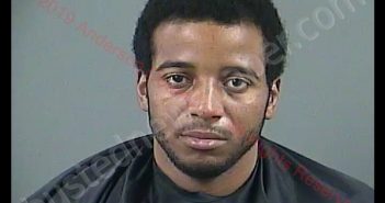 DELONTE ALEXANDER BICKHAM | 2019-03-04 20:53:00 Anderson County, South Carolina Booking