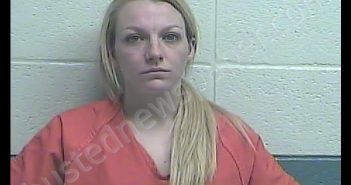 ASHLEIGH N WELLS | 2019-03-04 20:03:00 Jessamine County, Kentucky Booking