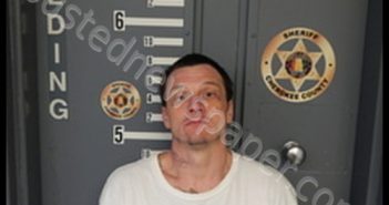 WILLIAM DEWAYNE VESSELL | 2019-03-04 20:46:00 Cherokee County, Alabama Booking