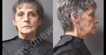 BUSHONG, SHAWN RENEE | 2019-03-05 01:34:00 Madison County, Indiana Booking