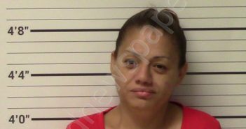 FLORES, YAZMIN SOTO | 2019-03-07 Kerr County, Texas Booking