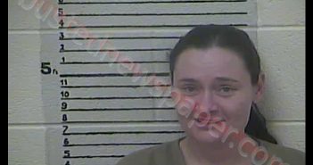 BRANDY RHINON CAUSEY | 2019-03-07 13:34:00 Clay County, Kentucky Booking