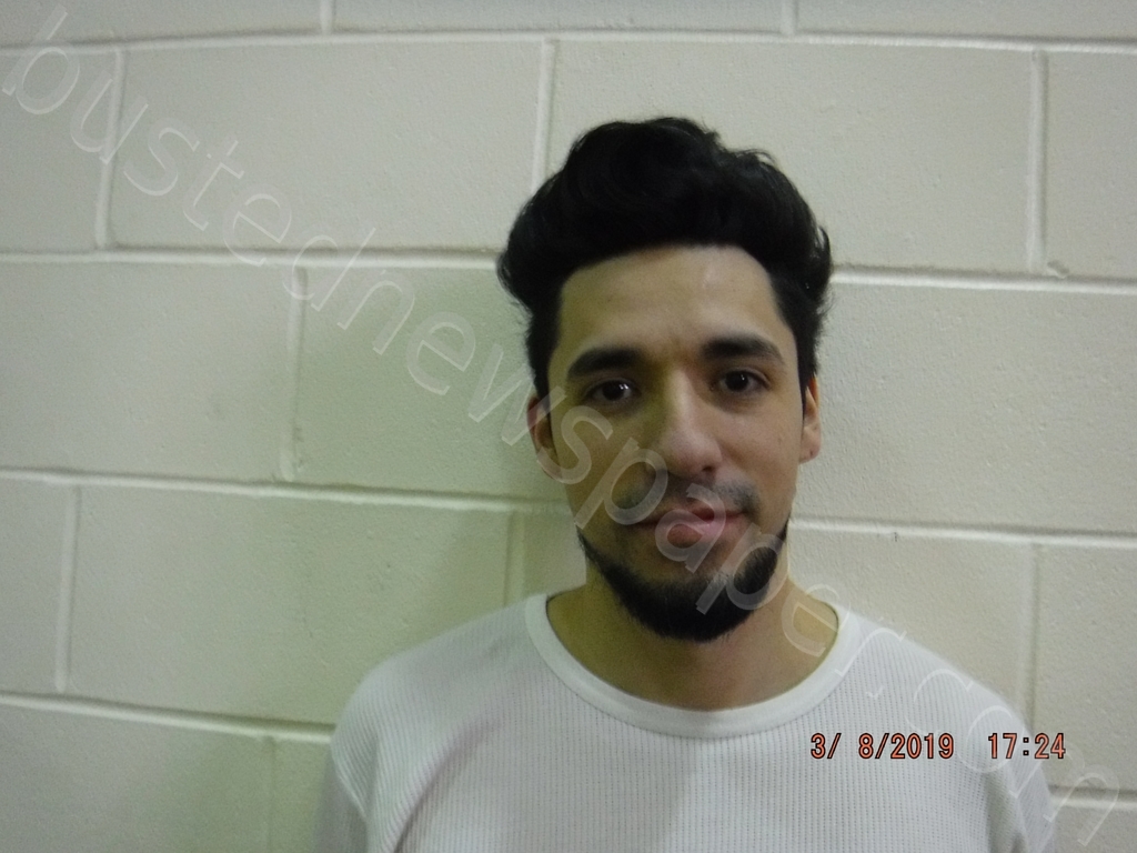 DANIEL ALVAREZ-REYES #, Clay County, Indiana - 2019-03-08 14:38:00