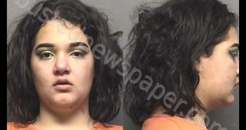 BESS,NATASHA LYNN | 2019-03-08 04:30:00 Saline County, Kansas Booking