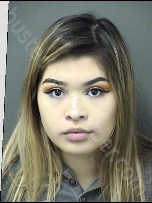 ZUNIGA-CARRANZA,KARLA MICHELLE #, Cooke County, Texas - 2019-03-09