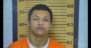 DAIGAN ISAAC LE EL BERRI | 2019-03-09 01:56:36 Ottawa County, Ohio Booking