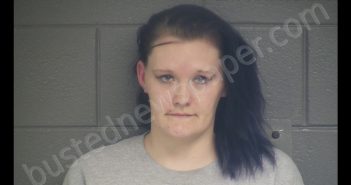 WHITNEY ELIZABETH SIMPSON | 2019-03-10 16:54:00 Scott County, Kentucky Booking