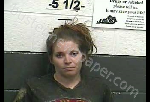 SAISHA N POWERS #, Whitley County, Kentucky - 2019-03-11 22:07:00