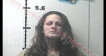 REBEKAH HORNER | 2019-03-11 16:08:00 Lincoln County, Kentucky Booking
