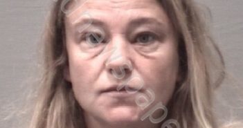 RIDEOUT, ANGELA CARLENE | 2019-03-11 New Hanover County, North Carolina Booking