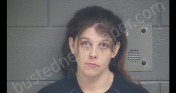 BRITTANY LEANNE WOLFINBARGER | 2019-03-12 16:16:00 Scott County, Kentucky Booking