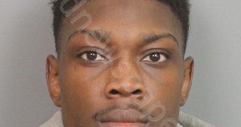 JOHNSON, DEONTA PARNELL | 2019-03-12 13:34:00 Jefferson County, Alabama Booking