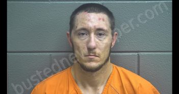TRAVIS TAYOR DEWES | 2019-03-12 09:06:00 Scott County, Kentucky Booking