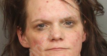 ECHOLS, KRISTY NICOLE | 2019-03-12 03:03:00 Jefferson County, Alabama Booking