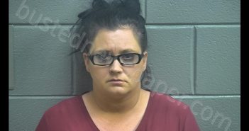 TASHA NICLOE ECKLAR | 2019-03-12 11:30:00 Scott County, Kentucky Booking