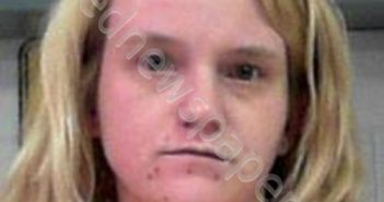 DAVIS, KAYLA NICOLE | 2019-03-13 11:00:00 Wood County, West Virginia Booking