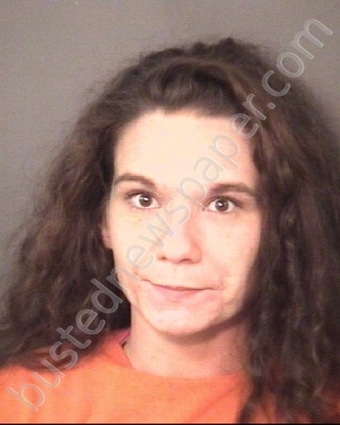 DELCONT, BRITTNEY NICOLE #, Union County, North Carolina - 2019-03-13 01:11:00