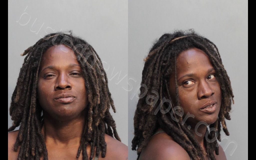 JOHNSON, NATASHA KIM #, Miami-Dade County, Florida - 2019-03-15 19:24:00