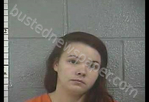 HANNAH N HODGE #, Bullitt County, Kentucky - 2019-03-16 01:23:00