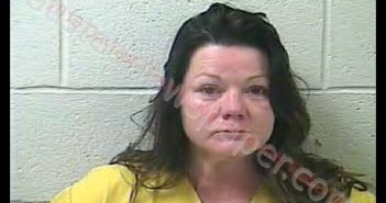 SHARON RENEA NEVILS | 2019-03-16 02:26:00 Daviess County, Kentucky Booking