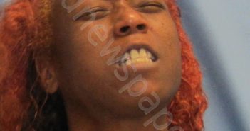 EARLEY,LATOYA SHANAE | 2019-03-17 01:00:00 Pulaski County, Arkansas Booking
