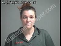 CANTU ASHLEY N | 2019-03-17 Sandusky County, Ohio Booking