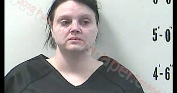 CRYSTAL L STARR | 2019-03-17 19:57:00 Pulaski County, Indiana Booking