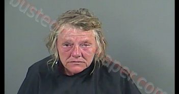 CHERI ANN CHAPMAN | 2019-03-17 20:30:00 Anderson County, South Carolina Booking