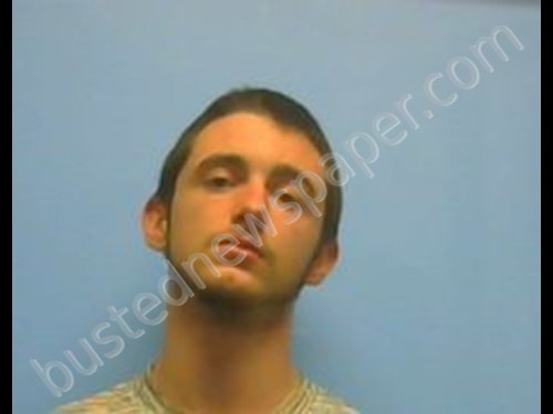 DAKOTA NEWTON LEV BUFORD #, Johnson County, Arkansas - 2019-03-17 05:38:00