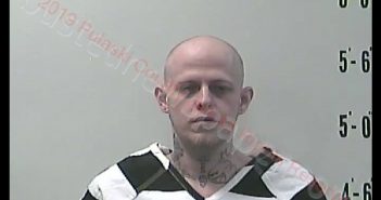 DAVID B MOORE | 2019-03-17 00:07:00 Pulaski County, Indiana Booking