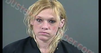 JESSICA MARIE COLEMAN | 2019-03-19 16:31:00 Anderson County, South Carolina Booking
