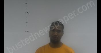 GEORGE MICHAEL JOHNSON | 2019-03-19 02:30:00 Western Tidewater, Virginia Booking