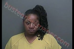 LATOYA DENISE BURTON | 2019-03-19 14:17:00 Howard County, Indiana Booking